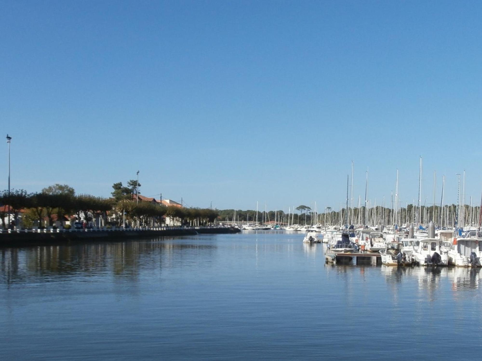 Charmant T3 De Standing A Capbreton, Jardin, 3 Chambres, Terrasse Couverte, Proche Port Et Plages - Fr-1-239-484 Екстериор снимка